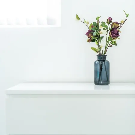 Apartment Padstow House